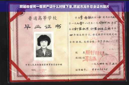 肥城御景苑一期房产证什么时候下来,肥城市高中毕业证书图片