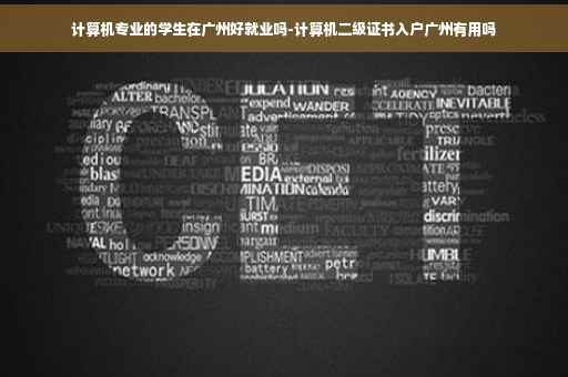计算机专业的学生在广州好就业吗-计算机二级证书入户广州有用吗