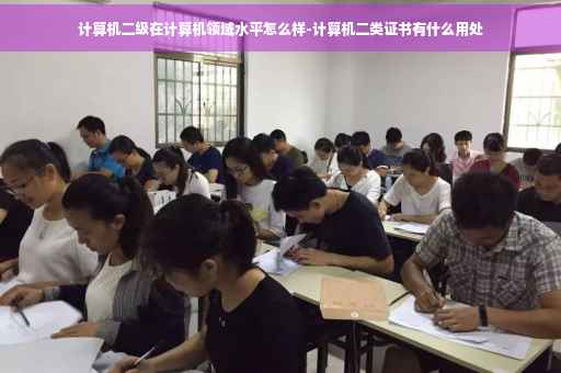 计算机二级在计算机领域水平怎么样-计算机二类证书有什么用处