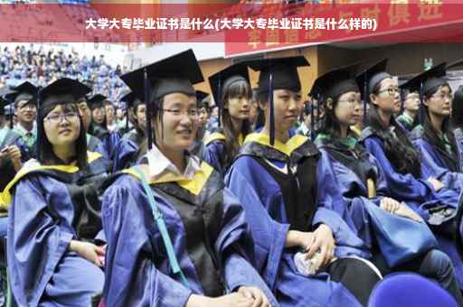 大学大专毕业证书是什么(大学大专毕业证书是什么样的)
