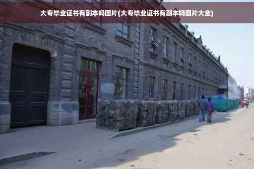 大专毕业证书有副本吗图片(大专毕业证书有副本吗图片大全)