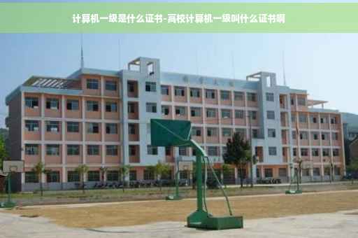 计算机一级是什么证书-高校计算机一级叫什么证书啊