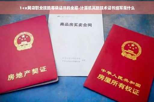 1+x网店职业技能等级证书的全称-计算机高新技术证书缩写是什么