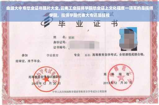 曲靖大中专毕业证书图片大全,云南工业技师学院毕业证上文化程度一项写的是技师学院，技师学院代表大专还是技校