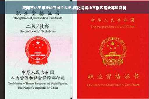 咸阳市小学毕业证书图片大全,咸阳渭城小学报名需要哪些资料