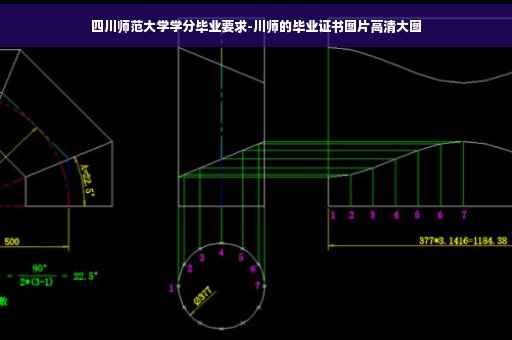 四川师范大学学分毕业要求-川师的毕业证书图片高清大图