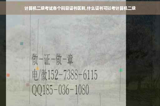 计算机二级考试各个科目证书区别,什么证书可以考计算机二级