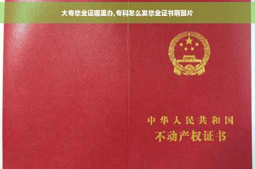 大专毕业证哪里办,专科怎么发毕业证书啊图片