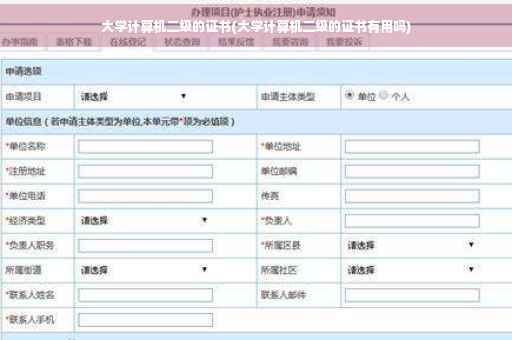大学计算机二级的证书(大学计算机二级的证书有用吗)