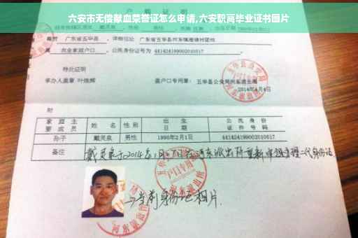 六安市无偿献血荣誉证怎么申请,六安职高毕业证书图片