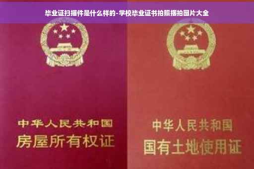 毕业证扫描件是什么样的-学校毕业证书拍照摆拍图片大全