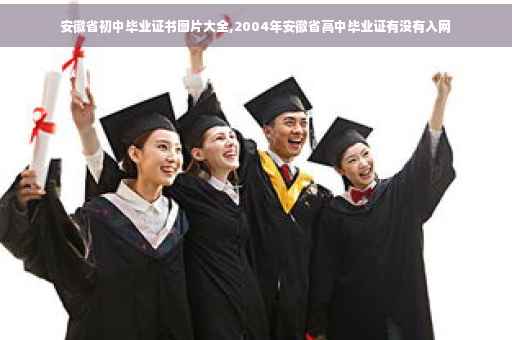 安徽省初中毕业证书图片大全,2004年安徽省高中毕业证有没有入网