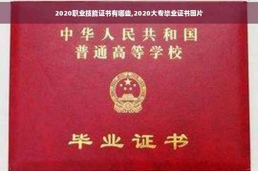 2020职业技能证书有哪些,2020大专毕业证书图片 2020职业技能证书有哪些,2020大专毕业证书图片