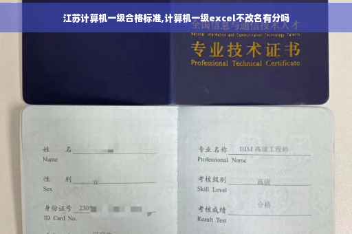 江苏计算机一级合格标准,计算机一级excel不改名有分吗