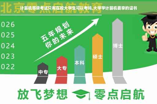 计算机等级考试只有在校大学生可以考吗,大学学计算机要拿的证书