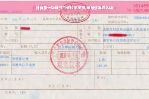 计算机一级证书由谁颁奖发放,获章情况怎么填