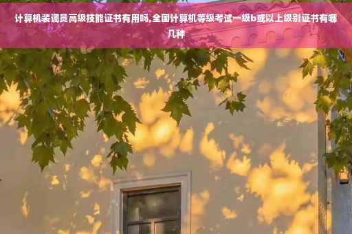 计算机装调员高级技能证书有用吗,全国计算机等级考试一级b或以上级别证书有哪几种
