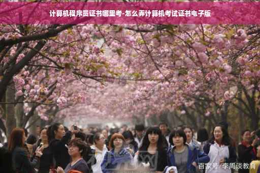 计算机程序员证书哪里考-怎么弄计算机考试证书电子版