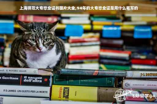 上海师范大专毕业证书图片大全,94年的大专毕业证是用什么笔写的
