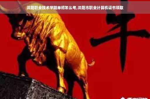 沈阳职业技术学院单招怎么考,沈阳市职业计算机证书领取
