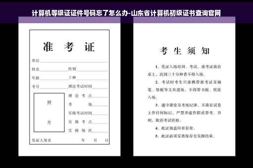 计算机等级证证件号码忘了怎么办-山东省计算机初级证书查询官网
