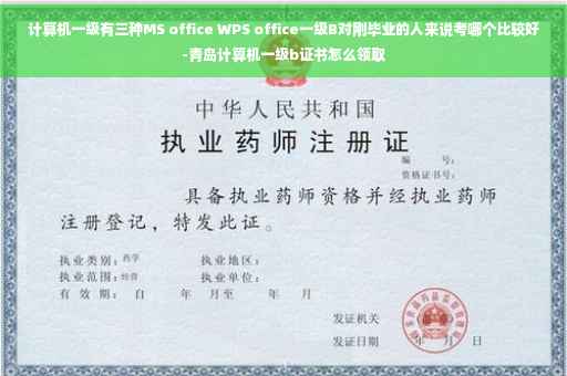 计算机一级有三种MS office WPS office一级B对刚毕业的人来说考哪个比较好-青岛计算机一级b证书怎么领取