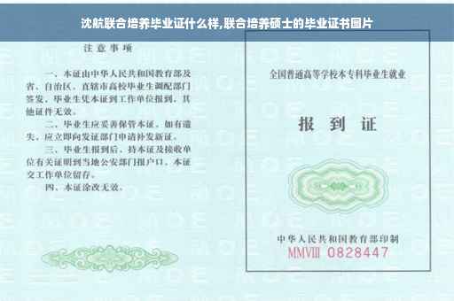 沈航联合培养毕业证什么样,联合培养硕士的毕业证书图片
