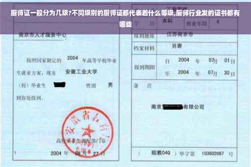 厨师证一般分为几级?不同级别的厨师证都代表着什么等级,厨师行业发的证书都有哪些