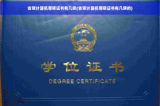 省级计算机等级证书有几级(省级计算机等级证书有几级的)
