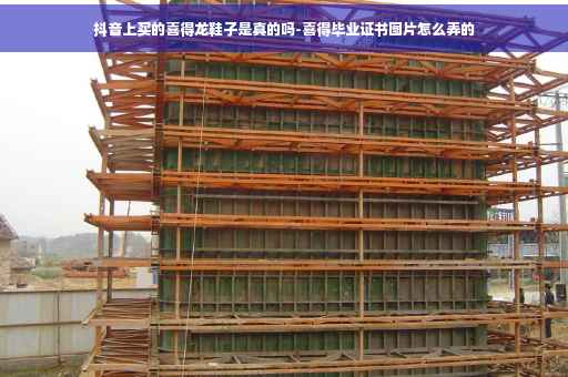 抖音上买的喜得龙鞋子是真的吗-喜得毕业证书图片怎么弄的