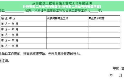 计算机的二级证书有哪些(计算机的二级证书有哪些内容)
