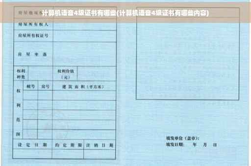 计算机语音4级证书有哪些(计算机语音4级证书有哪些内容)