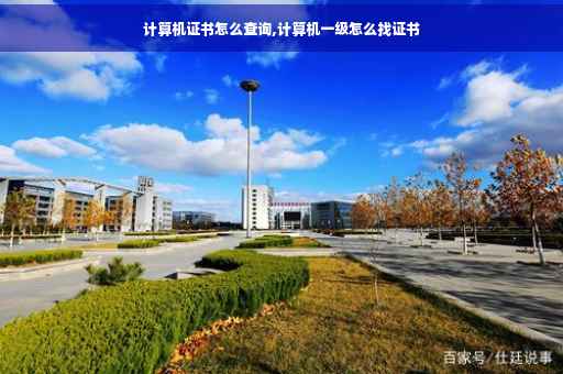 计算机证书怎么查询,计算机一级怎么找证书