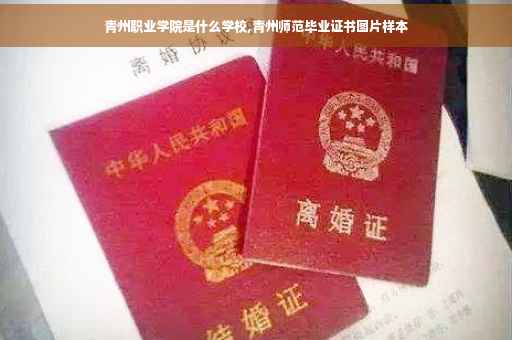 青州职业学院是什么学校,青州师范毕业证书图片样本