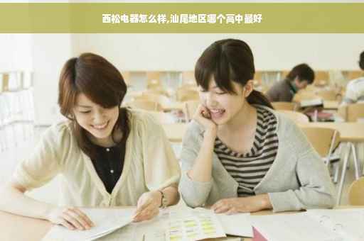 西松电器怎么样,汕尾地区哪个高中最好