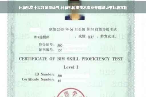计算机类十大含金量证书,计算机网络技术专业考那些证书比较实用
