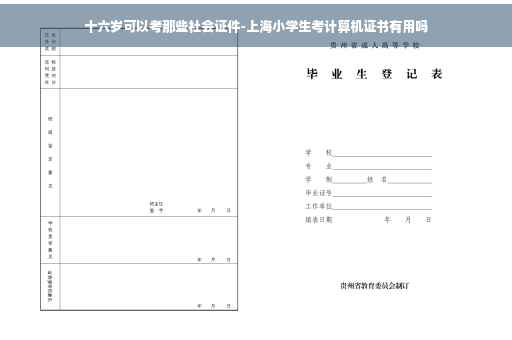 十六岁可以考那些社会证件-上海小学生考计算机证书有用吗