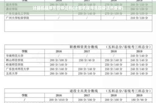 计算机程序员四级证书(计算机程序员四级证书查询)