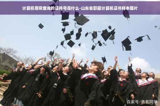 计算机等级查询的证件号是什么-山东省职称计算机证书样本图片