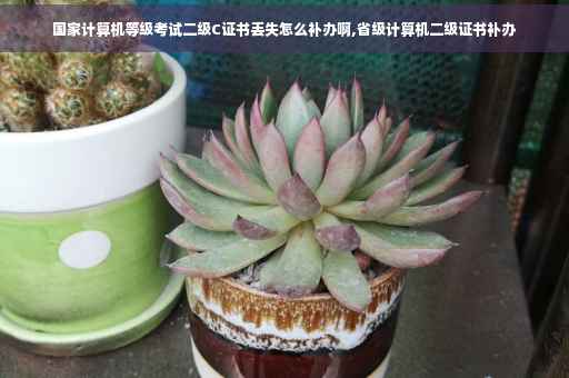 国家计算机等级考试二级C证书丢失怎么补办啊,省级计算机二级证书补办