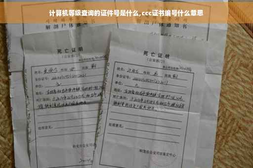 计算机等级查询的证件号是什么,ccc证书编号什么意思