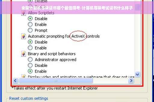 全国计算机等级证书哪个最值得考-计算机等级考试证书什么样子