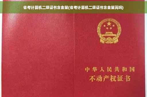 省考计算机二级证书含金量(省考计算机二级证书含金量高吗)