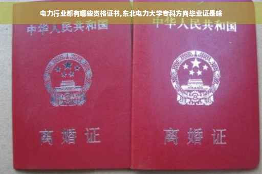 电力行业都有哪些资格证书,东北电力大学专科方向毕业证是啥