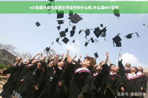 nit全国计算机应用水平证书长什么样,什么是NIT证书