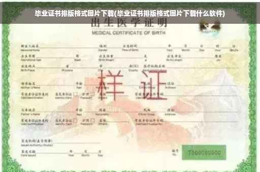 毕业证书排版格式图片下载(毕业证书排版格式图片下载什么软件)