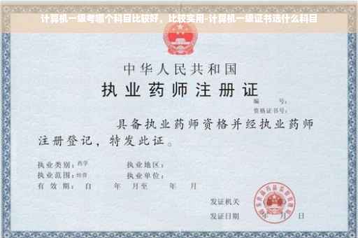 计算机一级考哪个科目比较好，比较实用-计算机一级证书选什么科目