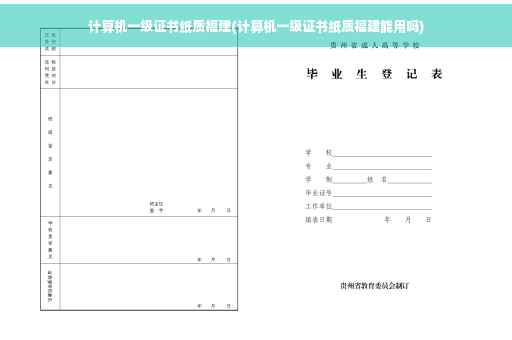 计算机一级证书纸质福建(计算机一级证书纸质福建能用吗)