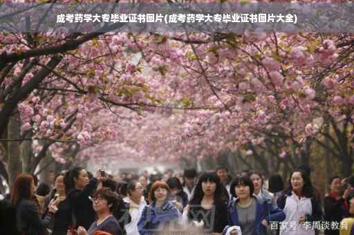 成考药学大专毕业证书图片(成考药学大专毕业证书图片大全)