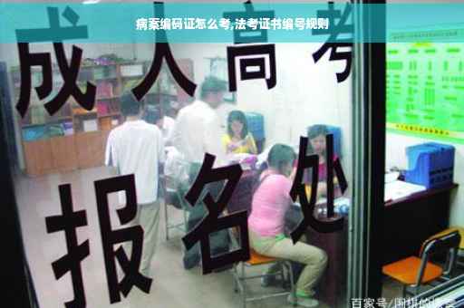 病案编码证怎么考,法考证书编号规则